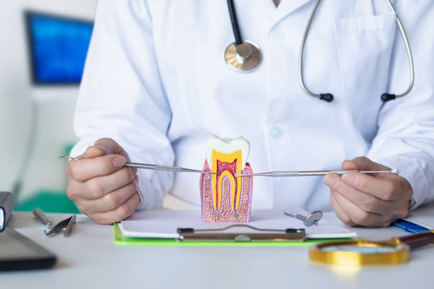 Best Emergency Dentist for Lost Fillings or Crowns in Medina, NY